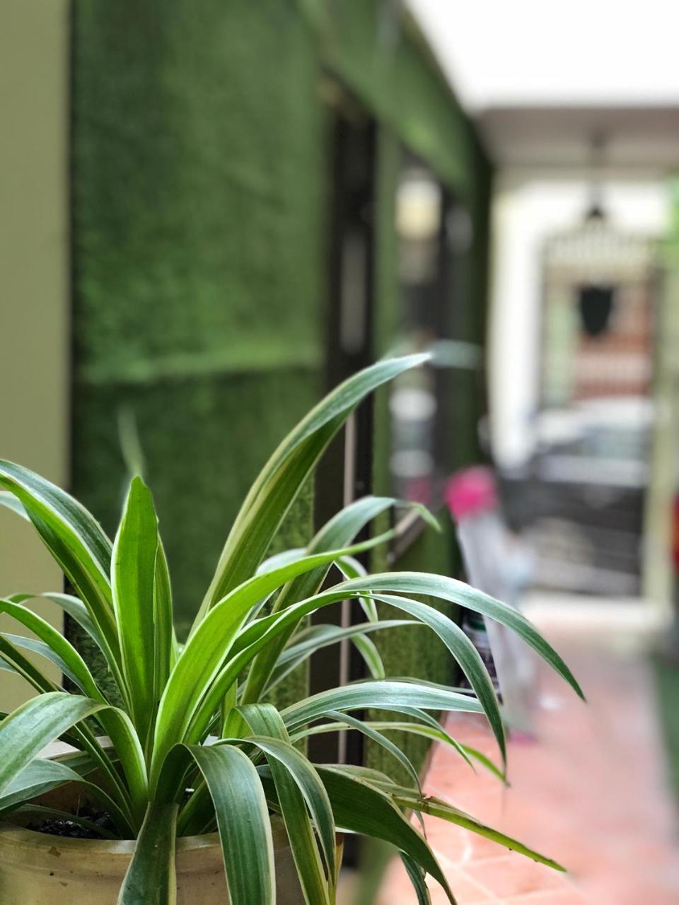 דירות האי פונג Ventana House מראה חיצוני תמונה
