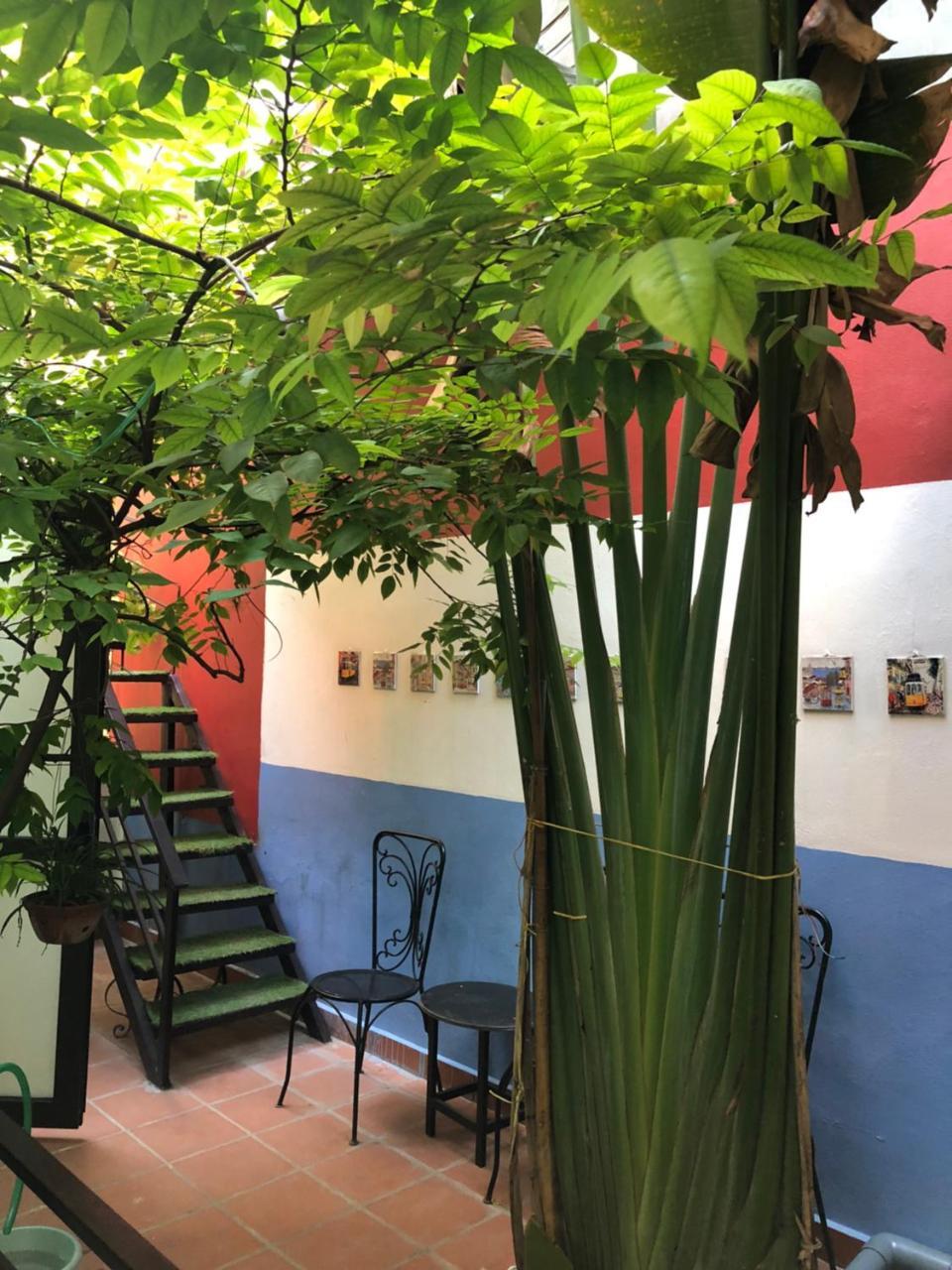 דירות האי פונג Ventana House מראה חיצוני תמונה