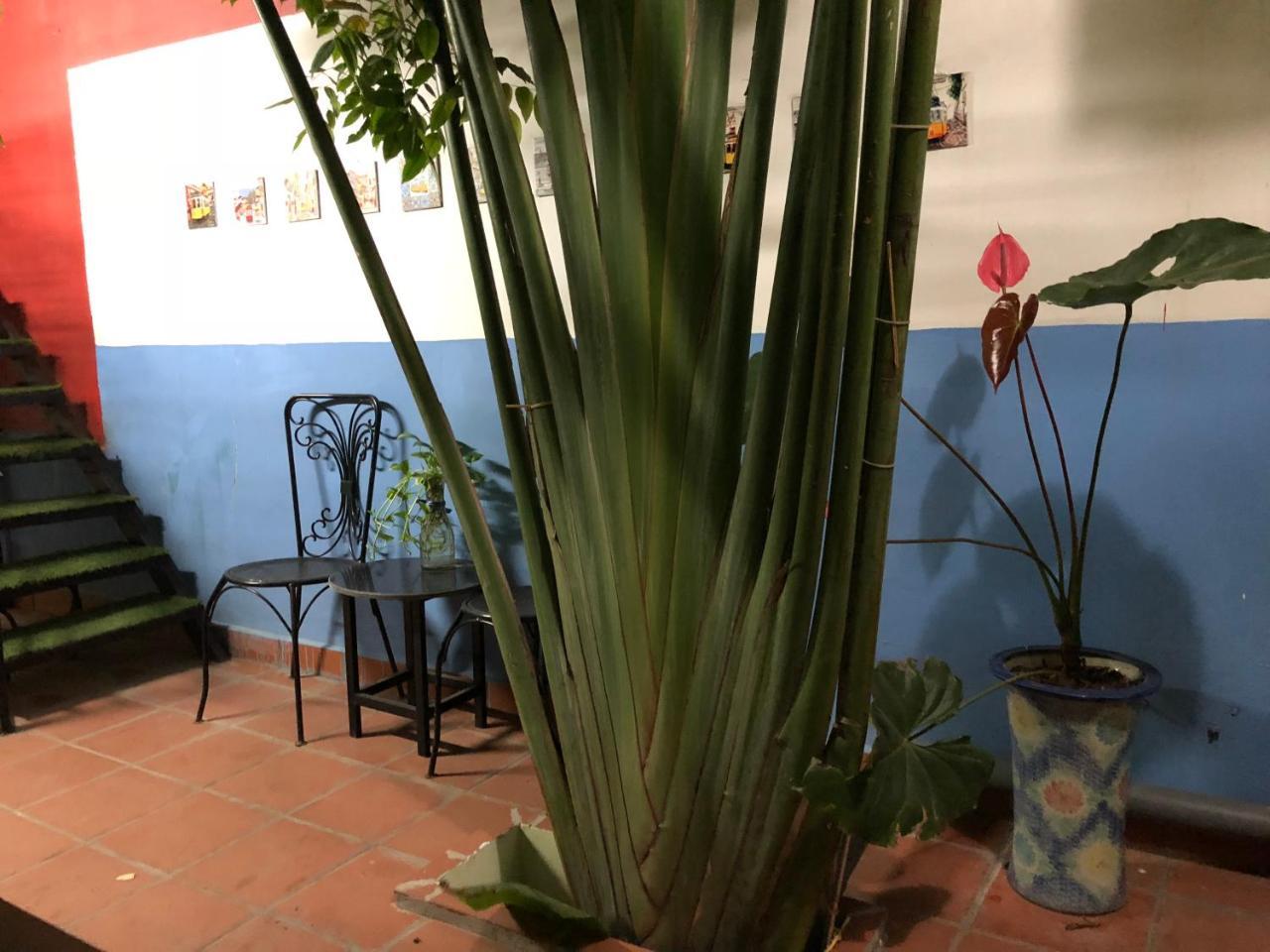 דירות האי פונג Ventana House מראה חיצוני תמונה